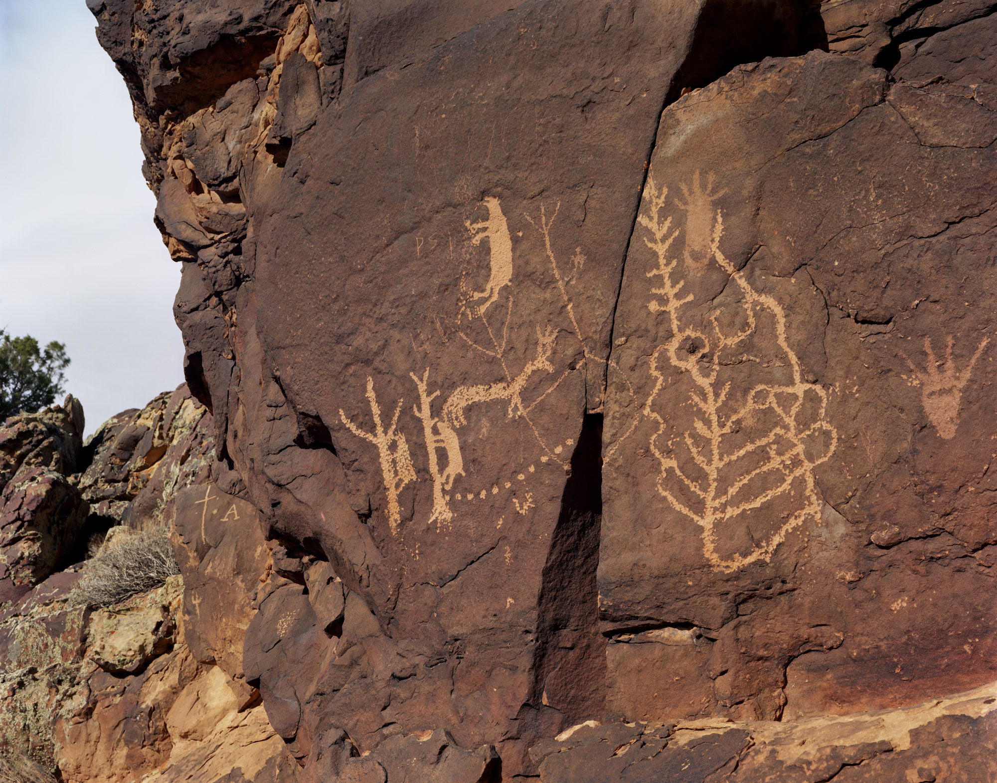 Pictographs on red rock