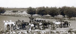 Teams of horses and equipment with Carl and Harold Westesen in the foreground, 1912.