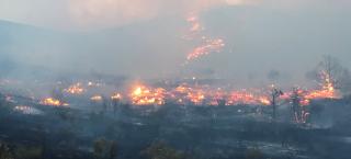 Photo of a wildfire burning across vegetation along the ground, including small trees which are outlined in yellow flames. Scorched earth is seen in the foreground, and angry yellow and orange flames reach up from the ground, creating clouds of thick gray smoke which are rising into the sky.  The silhouette of a hill is barely seen through the smoke, and a trail of flames looks as though it is climbing up the hill in a winding pattern.