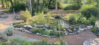 Ethnobotany Garden in the spring