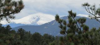 Photo of snow-capped Mount Evans rising up in the distance against a cloudy gray sky, as seen through the trees at the Lookout Mountain Nature Center