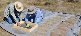 PAAC volunteers screening in the field