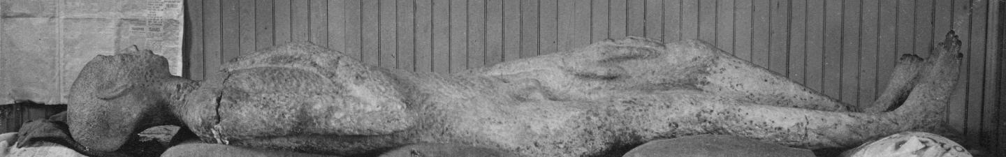 Solid Muldoon in repose