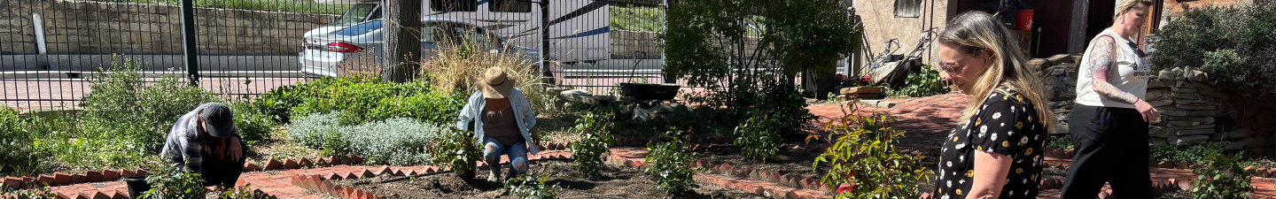 Volunteers work in the gardens at Trinidad History Museum