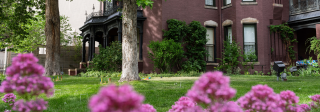 Exterior view of the Center for Colorado Womens history, there are vibrant purple flowers in the foreground.