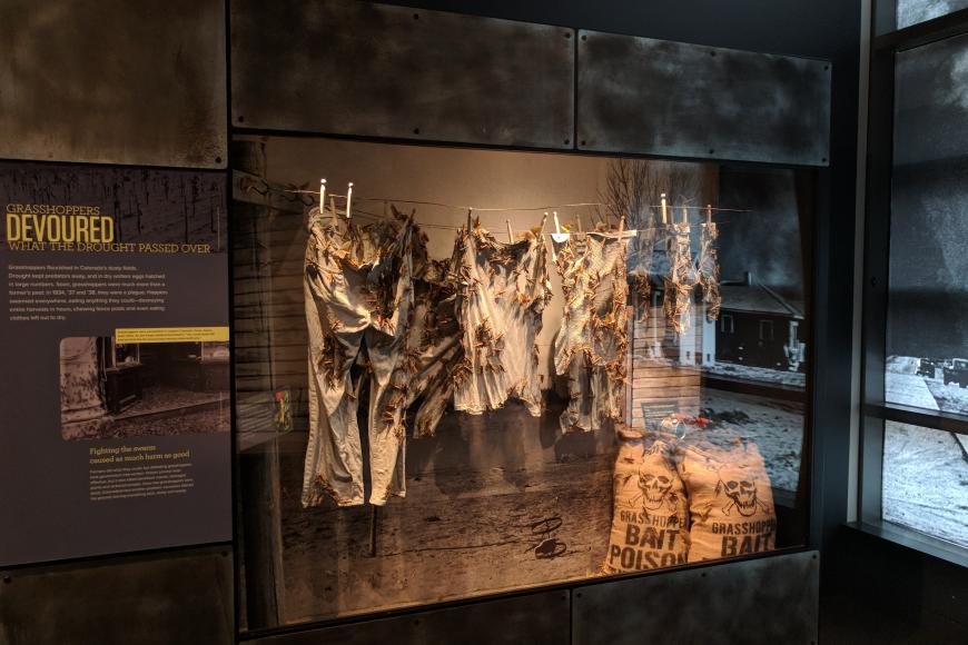 Grasshoppers and drought display. Clothes hang from a clothesline covered in locusts.