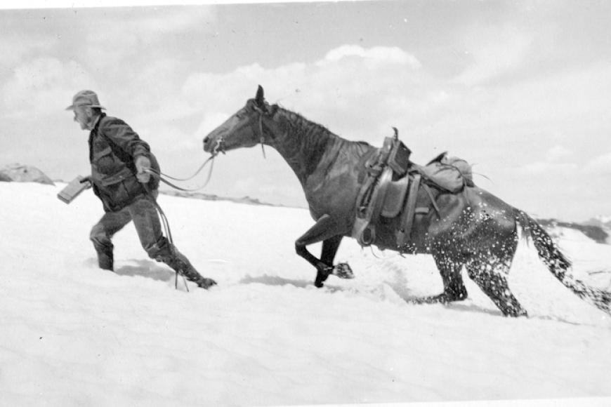 man walking his horse in a deep bank of snow
