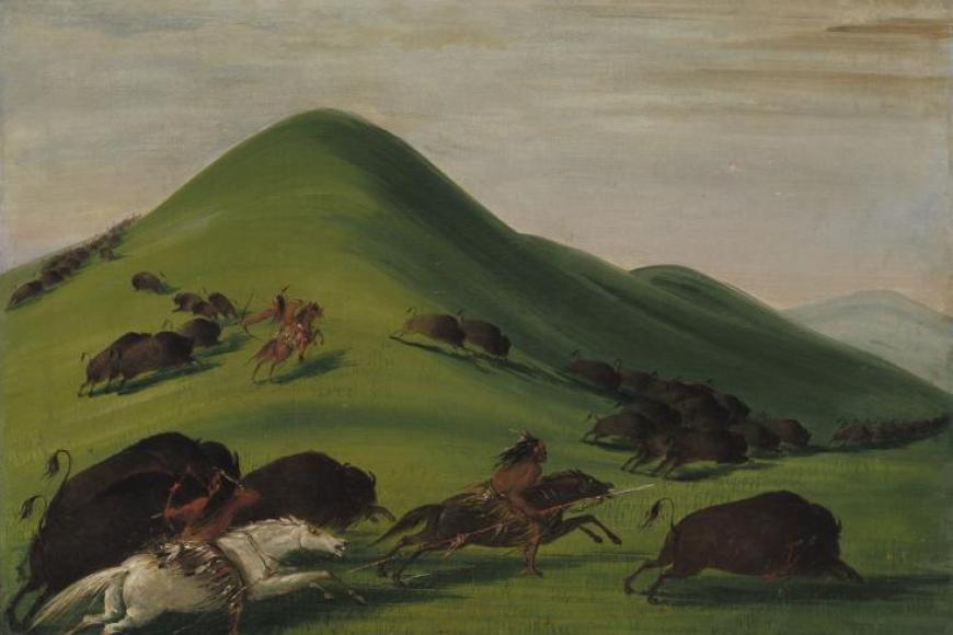 Buffalo Chase over Prairie Bluffs