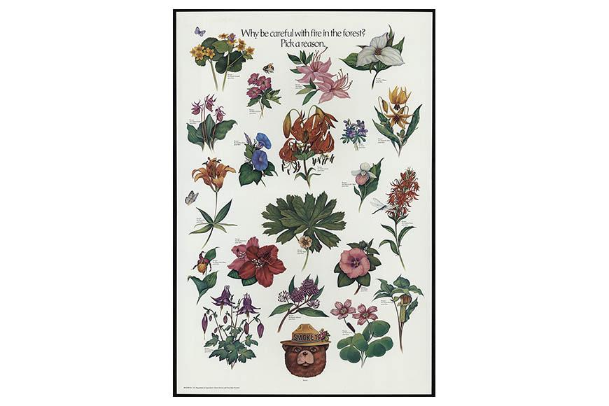 USDA Smokey Bear poster, 1989