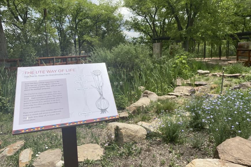 Ute Ethnobotany Sign