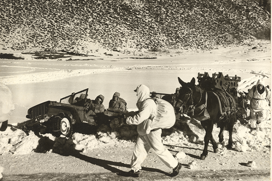 Camp Hale soldiers trudging through the snow, while a few soldiers attempt to drive up a snowy mound in a jeep. On the right, a mule is pulling equipment alongside them.
