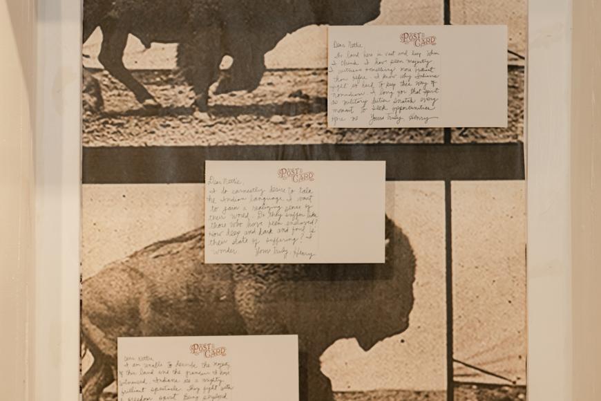 Buffalo Soldiers: ReVision panels