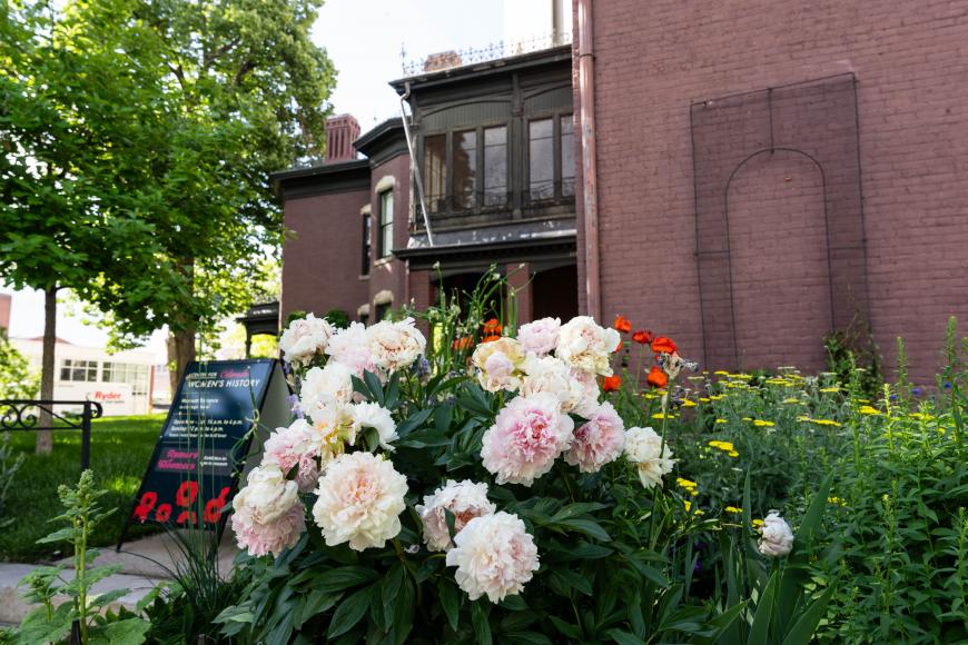 Closeup of white flowers outside the center for Colorado Women's History.