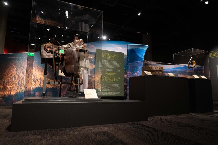 Large leather saddle in a display case.