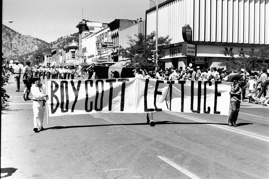 A large group of protesters march in the street. Three of them carry a banner reading "Boycott Lettuce"
