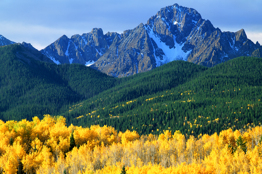 Mount Sneffels peak in autumn, foregrounded by yellow aspen groves.