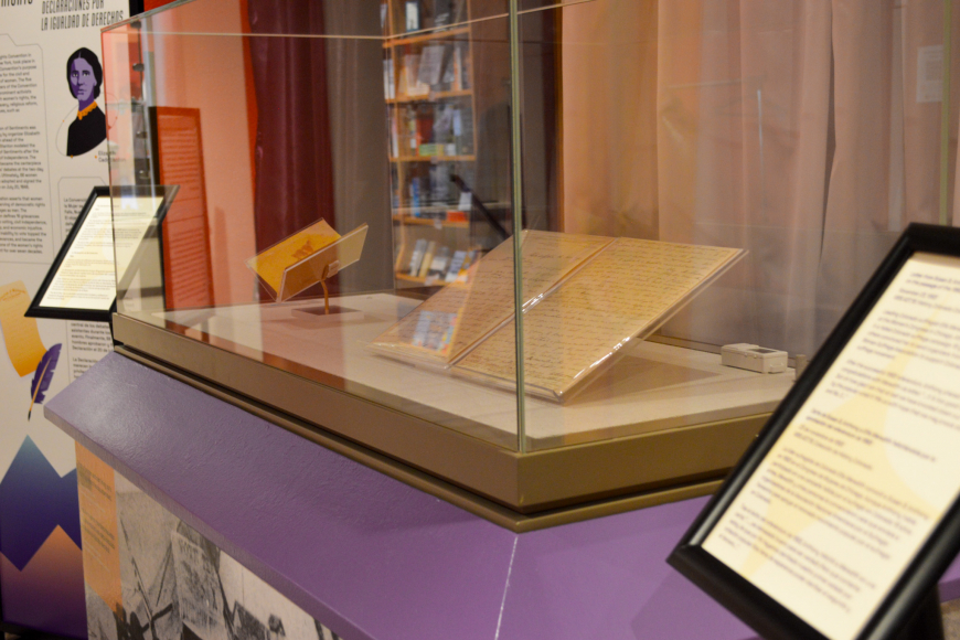 Declaration of Sentiments display Case