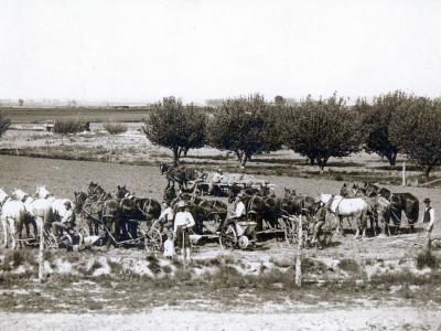 Teams of horses and equipment with Carl and Harold Westesen in the foreground, 1912.