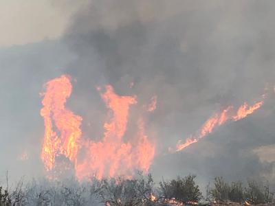 Photo of a wildfire burning vegetation up the side of a hill. The dark red and orange flames are consuming trees and releasing clouds of black smoke into the sky.