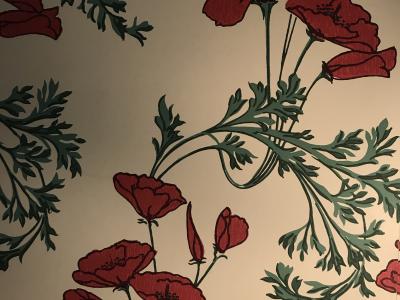 Poppies wallpaper