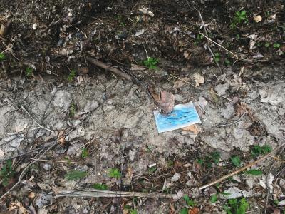 Photo of blue face mask which has been discarded and is lying on the ground in a dry ditch. The mask has some dirt on it, and is surrounded by dry grasses, dead leaves, and twigs, with the occasional leaf or two growing along the edges of the ditch that are turning green.