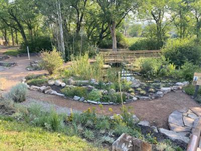 Ethnobotany Garden in the spring