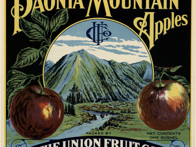 PAONIA MOUNTAIN APPLES/NET CONTENTS ONE BUSHEL/PACKED BY THE UNION FRUIT CO. PAONIA, CO.