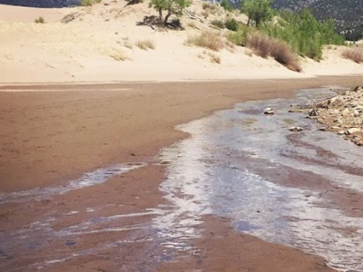 Photo of a small creek running over blonde sand. The the right, the bank contains some small rocks, sticks, and shrubs. To the left of the creek, the sands of the dunes gently rise up toward the left. A few green shrubs dot the banks of the creek. In the background, mountains covered in trees are visible on this sunny, blue-sky day.