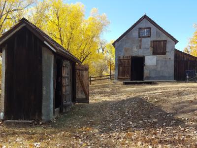 Two older farm buildings amongst trees with autumn leaves. 