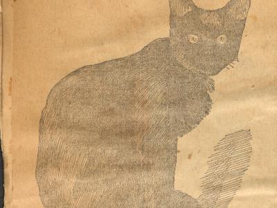 Roxy the Cat, with the caption: "ROXY, Pet of the Detective Department."