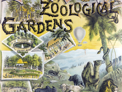 Advertising poster depicting illustrated animals in zoo enclosures, reading "Elitch's Zoological Gardens, Denver, Colorado."