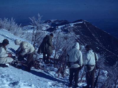 Company F, 86th Mountain Infantry Regiment, on Riva Ridge