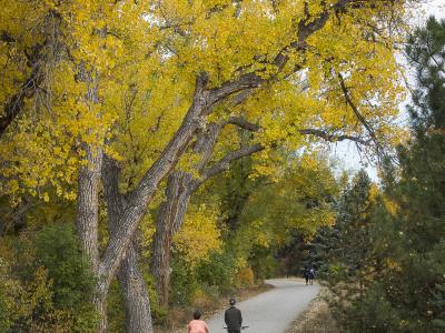 High Line Canal in Three Ponds Park