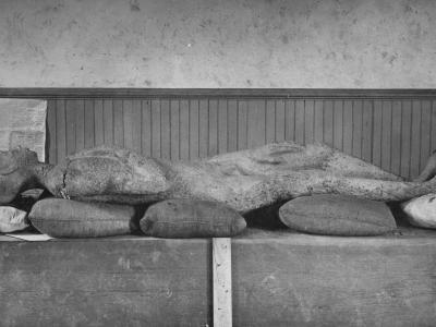 Solid Muldoon in repose