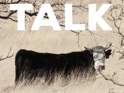 The cover of "Cow Talk: Work, Ecology, and Range Cattle Ranchers in the Postwar Mountain West" by Michelle Berry.