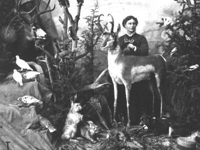 Martha Maxwell with Animals in Showroom