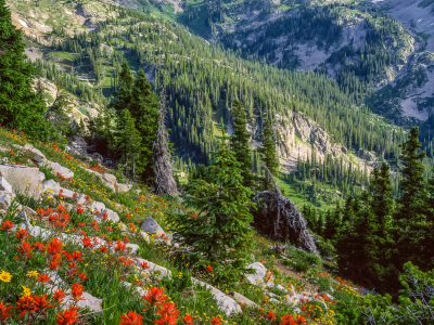 The Maroon Bells-Snowmass Wilderness