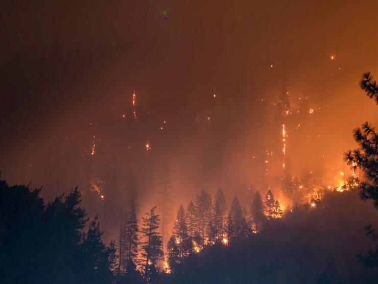 Image of a wild fire burning a hilside forest at night.