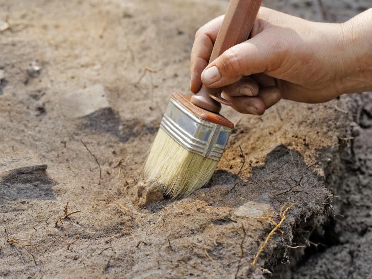 Closeup on a hand with a thick brush sweeping away debris at a dig site.