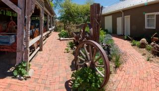 Trinidad Museum gardens