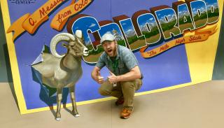 photo of large postcard with bighorn sheep